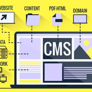 cms چیست؟